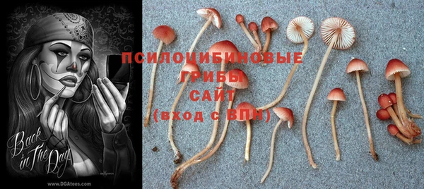 гидропоника Бронницы