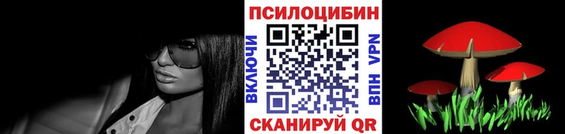 как найти   Новоржев  Псилоцибиновые грибы мухоморы 