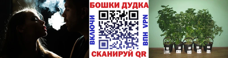 Шишки марихуана ГИДРОПОН  цена наркотик  Новоржев 